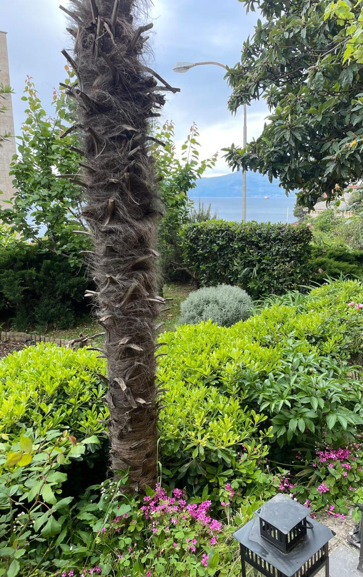 Dolce Vita Rijeka Exterior foto